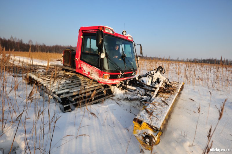Boomopslag maaien in de Biebrza-moerassen