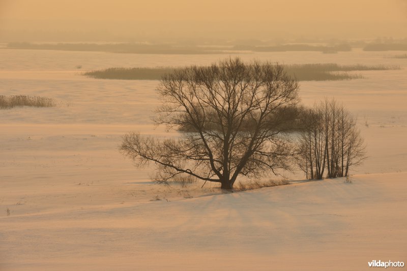 Vallei van de Biebrza