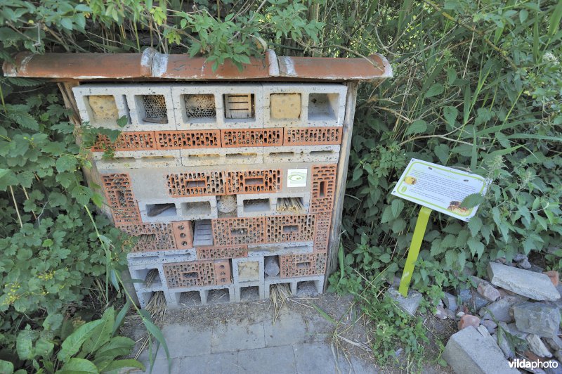 Nestkast voor solitaire bijen