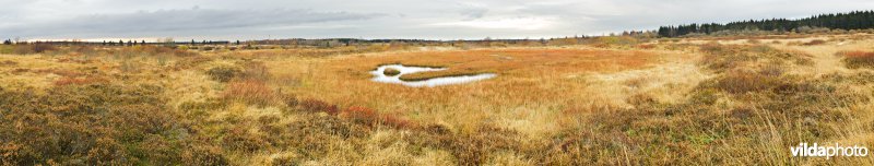 Pingoruïne in de Hoge Venen