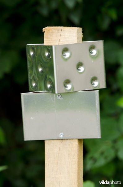 Wildspiegels langs een weg