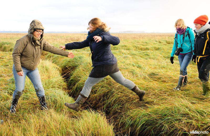 Excursie in het Verdronken Land van Saeftinghe