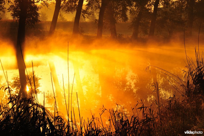 Oude Leie meander