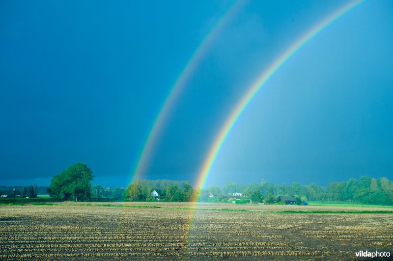 Regenboog over maisakker