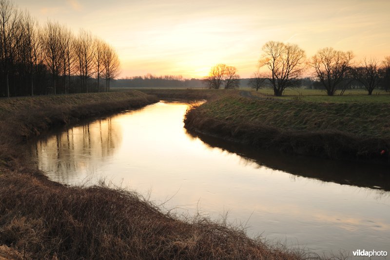 De Dijle in Rijmenam