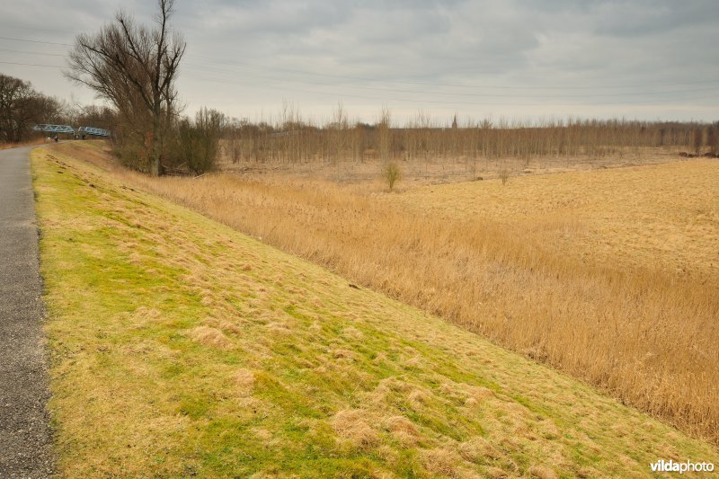 Grote Vijver deel 1 in het Zennegat