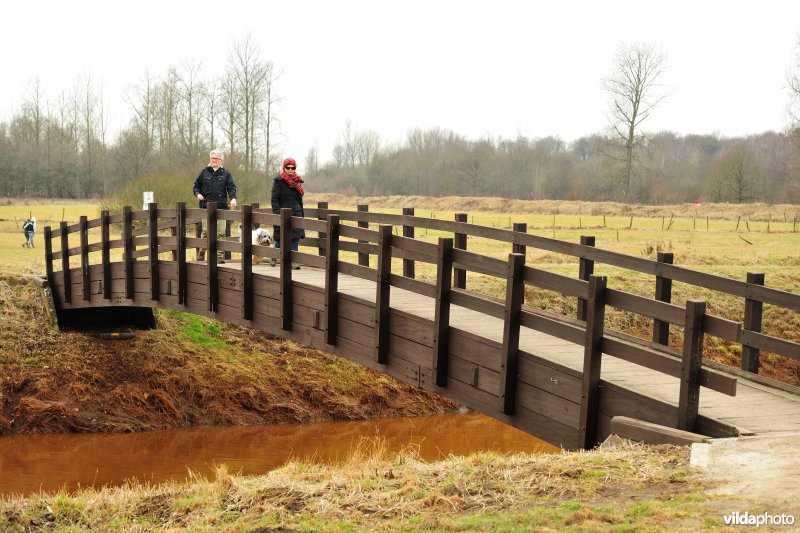 Vallei van de Grote Nete