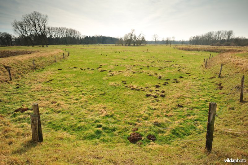 Vallei van de Grote Nete