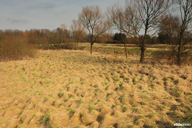 Vallei van de Grote Nete