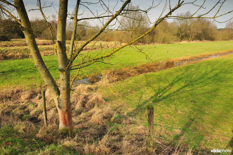 Vallei van de Grote Nete