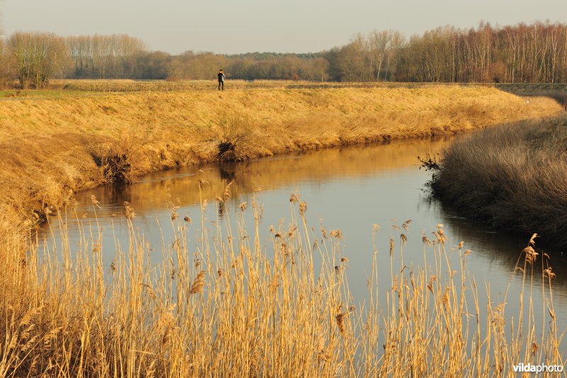 Dijlevallei Hollaken-Hoogdonk