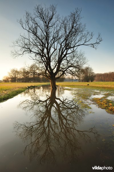 Dijlevallei Hollaken-Hoogdonk