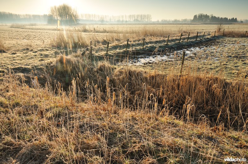 Weijmeerbroek