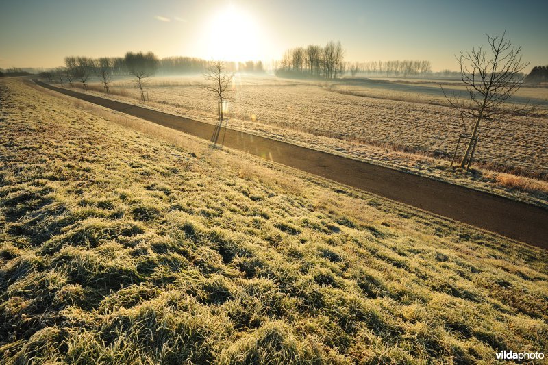 Weijmeerbroek