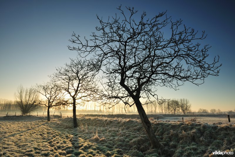 Weijmeerbroek