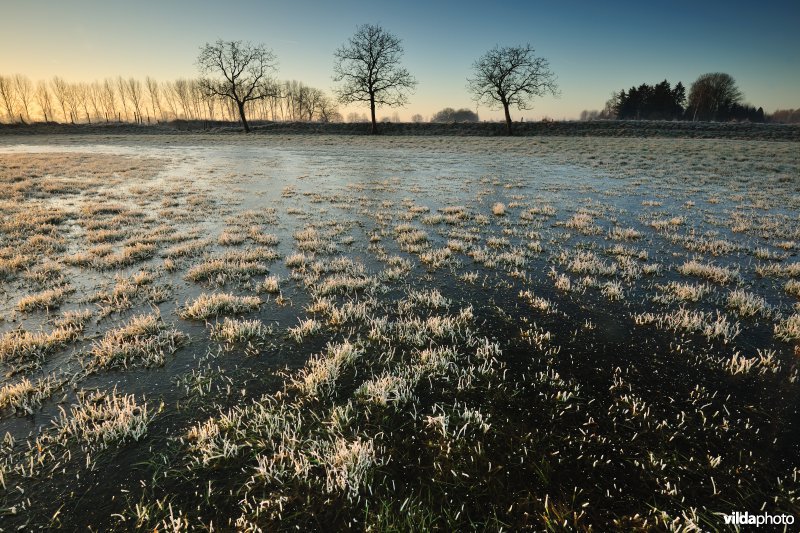 Weijmeerbroek