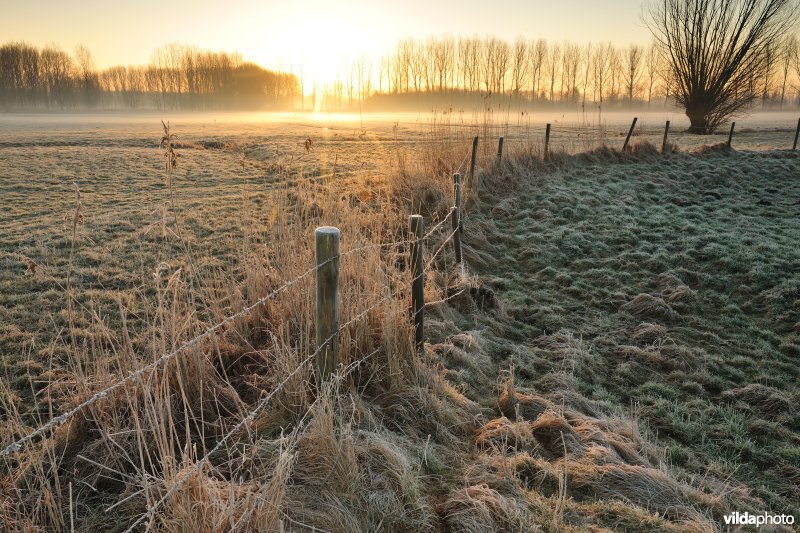 Weijmeerbroek