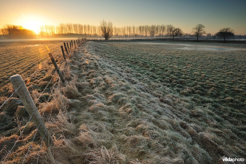 Weijmeerbroek