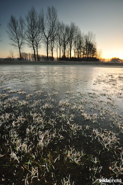 Weijmeerbroek