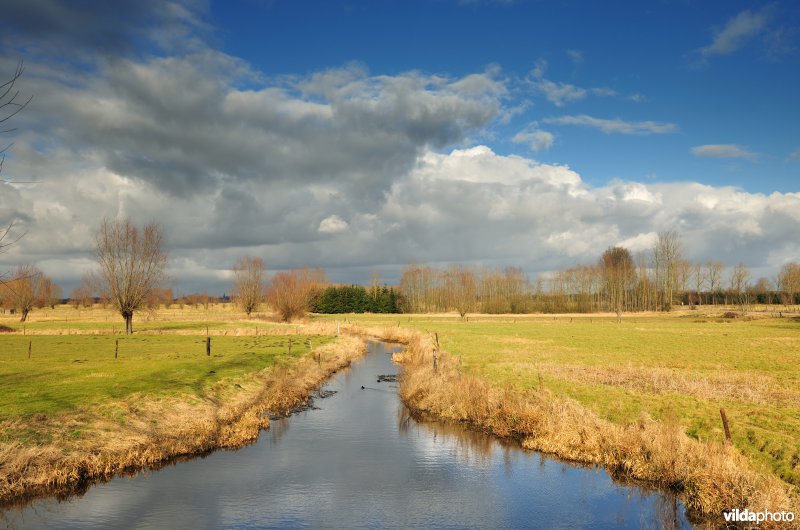 Bellebeek in de Kalkense meersen