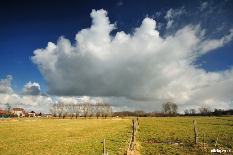 Aard in de Kalkense Meersen