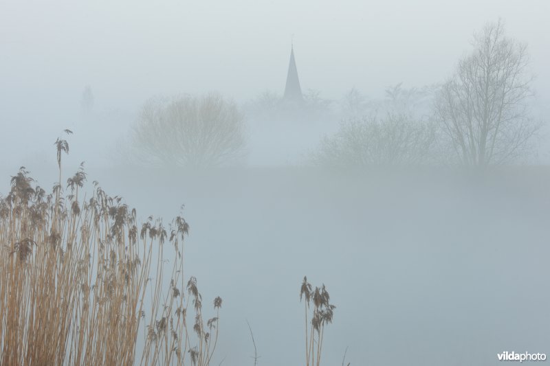 De Schelde te Uitbergen