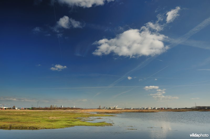 Vlakte van Zwijndrecht