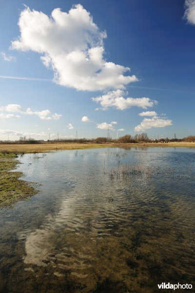 Vlakte van Zwijndrecht