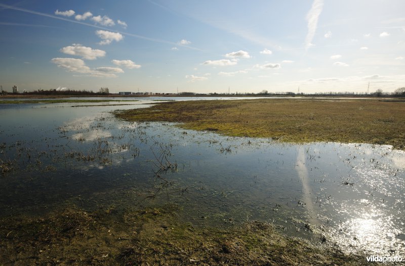 Vlakte van Zwijndrecht