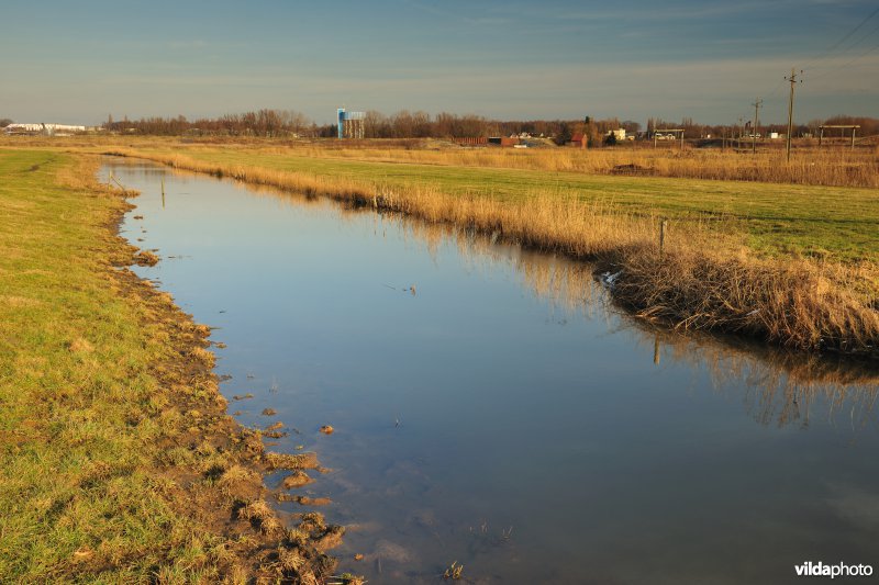 KBR polder