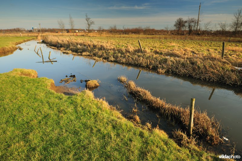 KBR polder