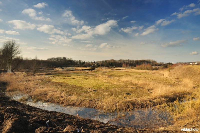 Schiphoekpolder