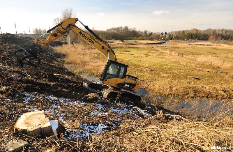 Schiphoekpolder