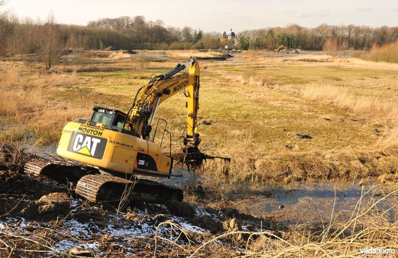 Schiphoekpolder