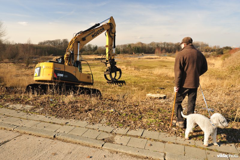 Schiphoekpolder