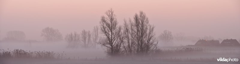 Bergenmeersen