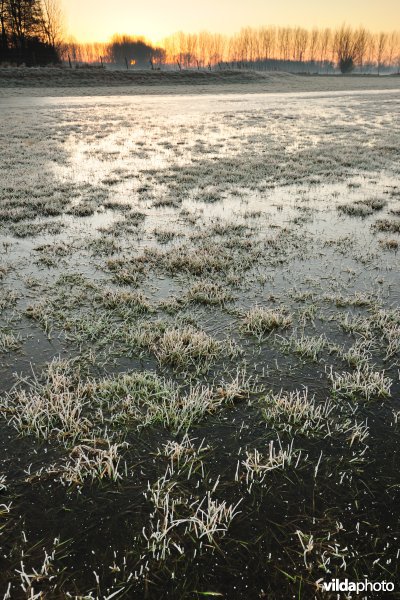 Weijmeerbroek