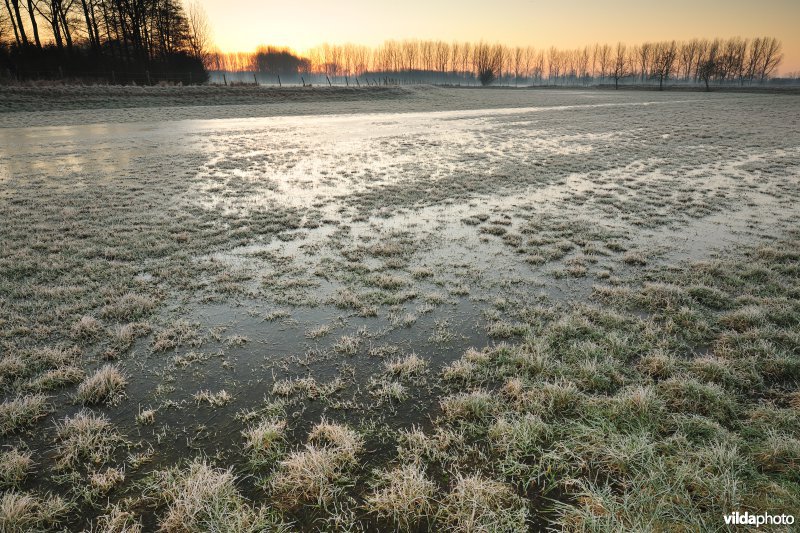 Weijmeerbroek