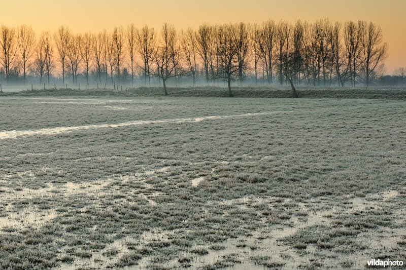 Weijmeerbroek