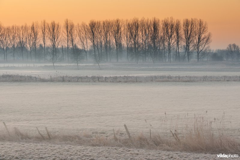 Weijmeerbroek