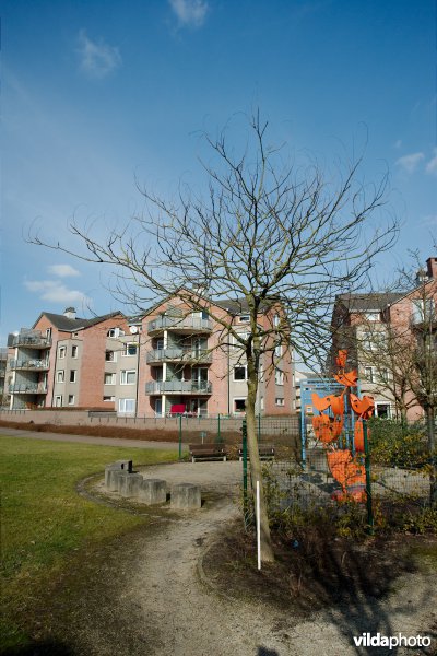 Blazenboom