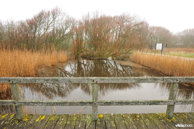 Park in het domein Raversijde
