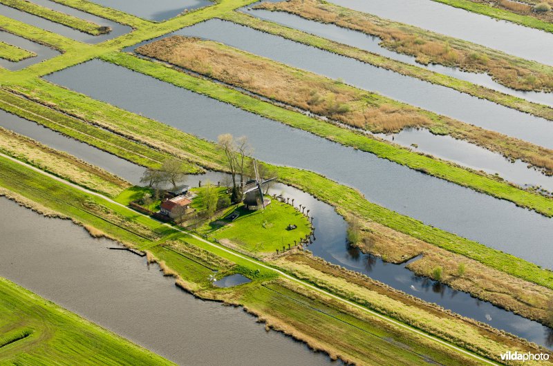 Molen in veenweidegebied