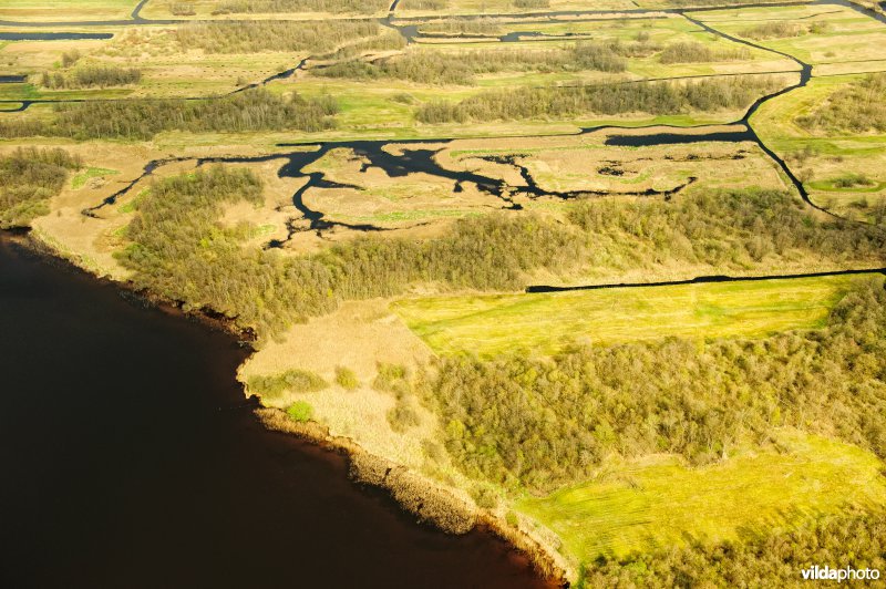 De Wieden