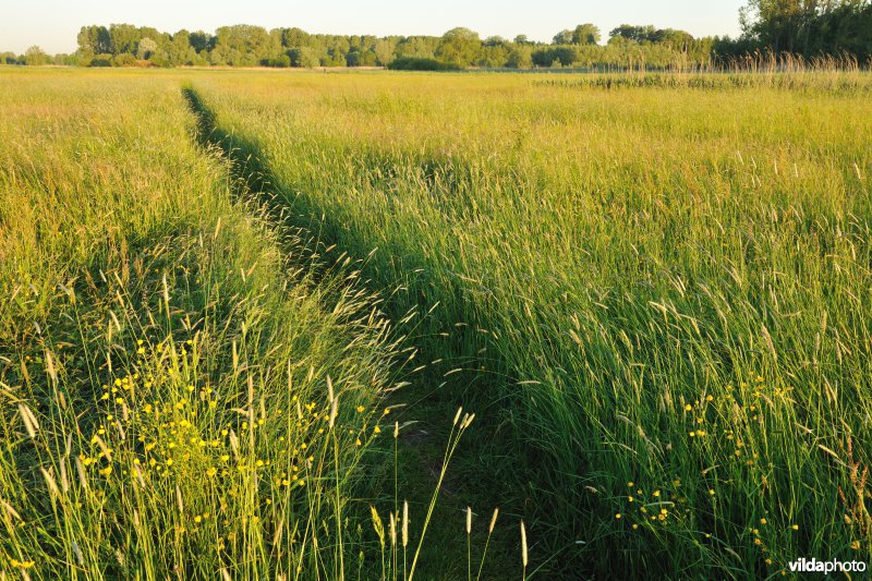 Kalkense Meersen: beeldenstroom reeks 3
