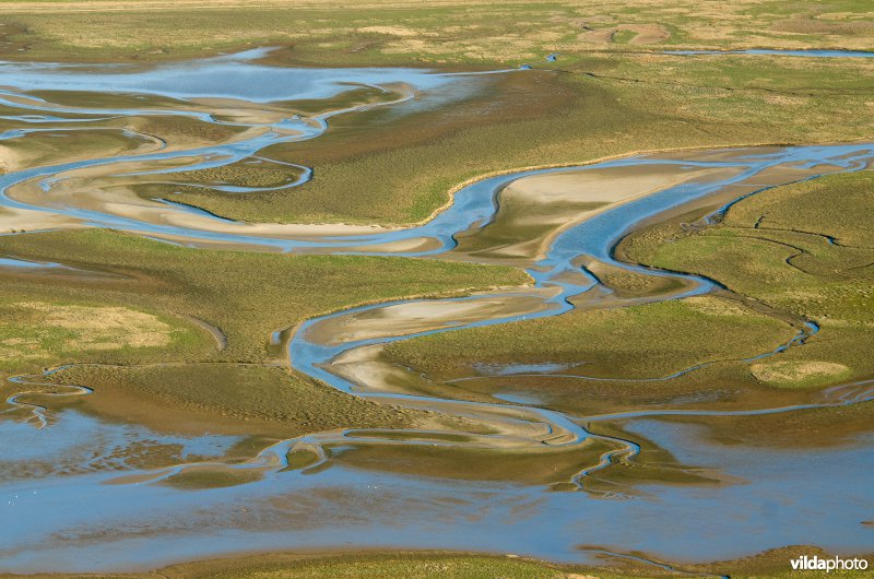 De Slufter, Texel