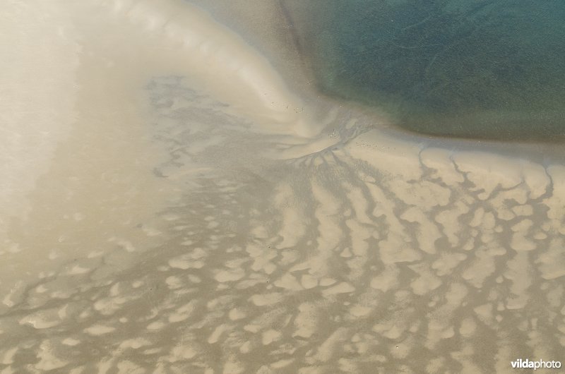 Getijden op het Wad leggen uitgestrekte slikken bloot