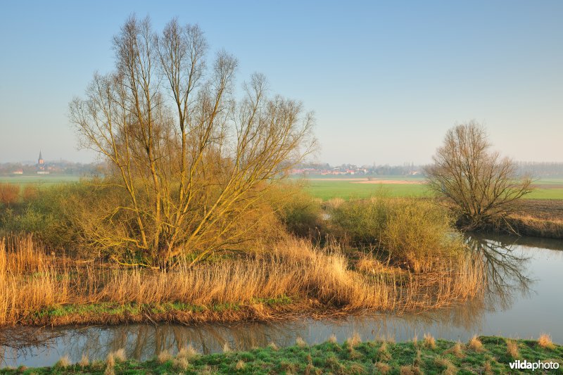 Tielrodepolder
