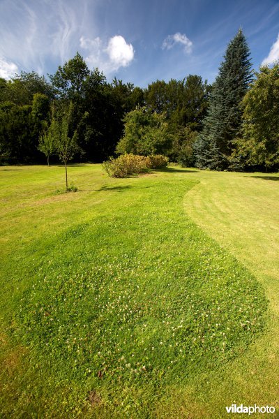 Gefaseerd gemaaid gazon