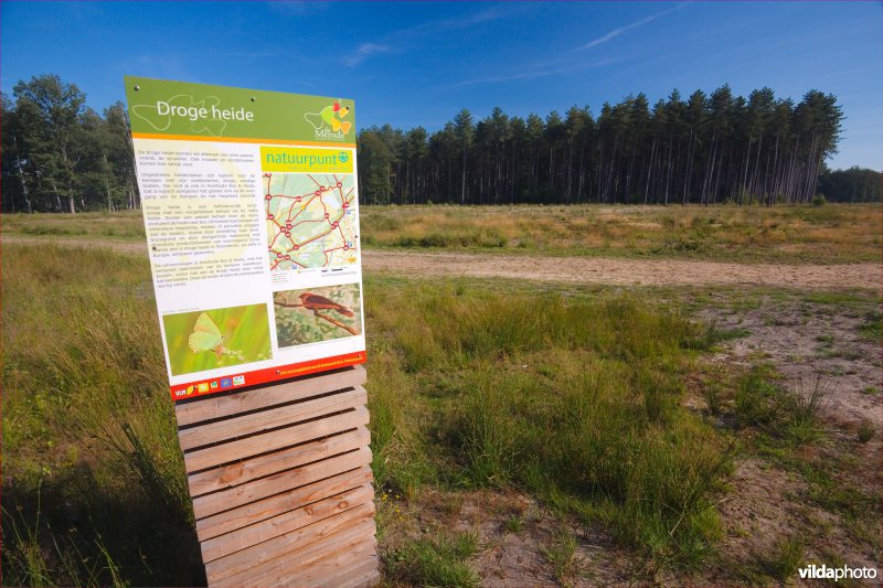 Infobord Natuurontwikkeling